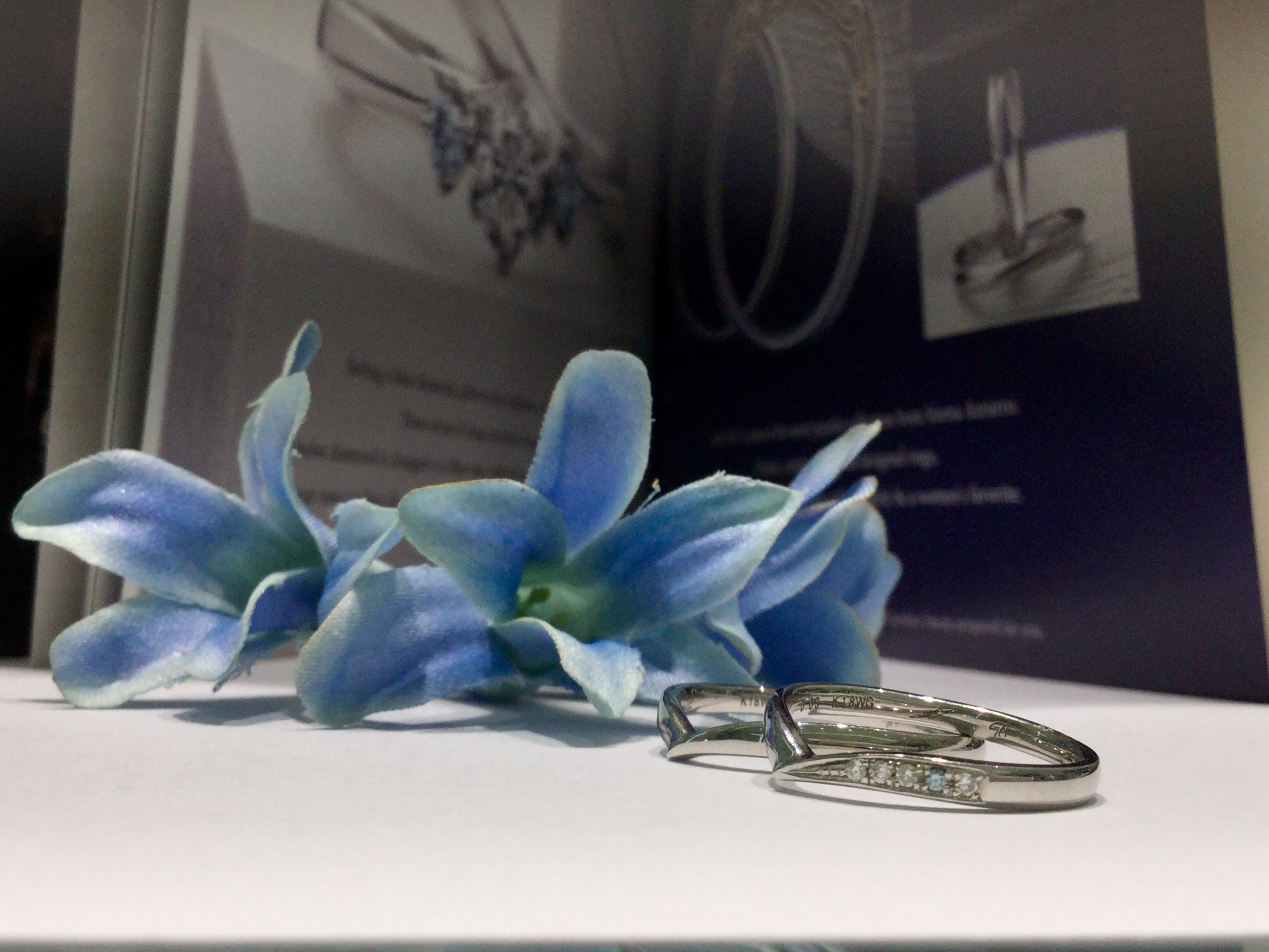 blog on 12.08.2016 (2)