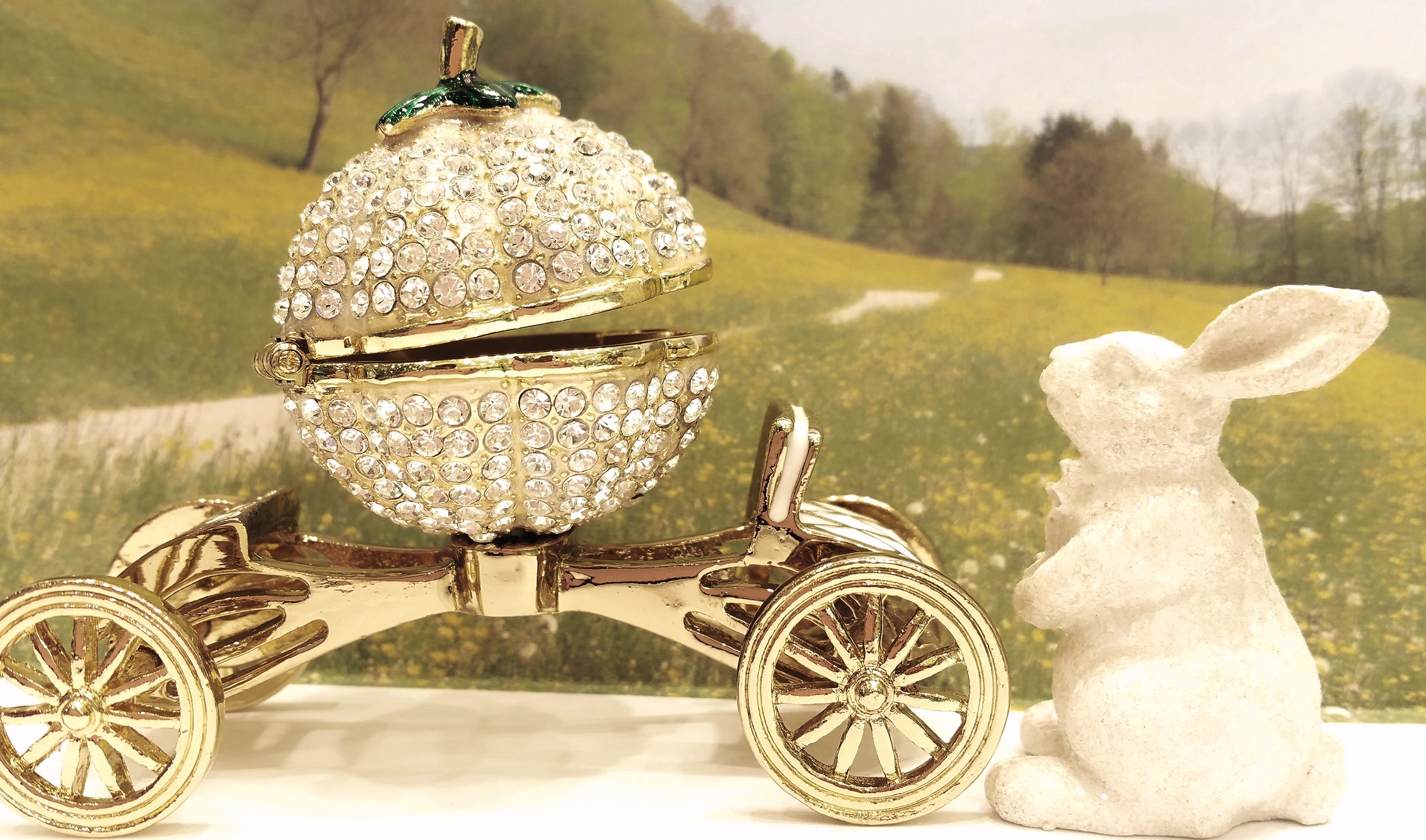 20161110_175003_mh1478771654022