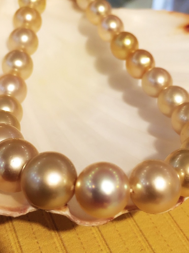Golden South Sea Pearl