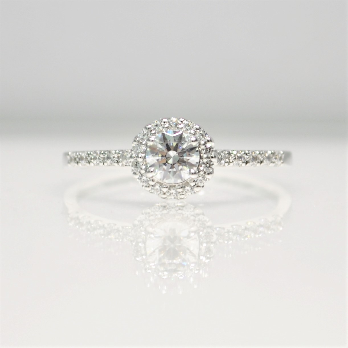 Halo(Front)