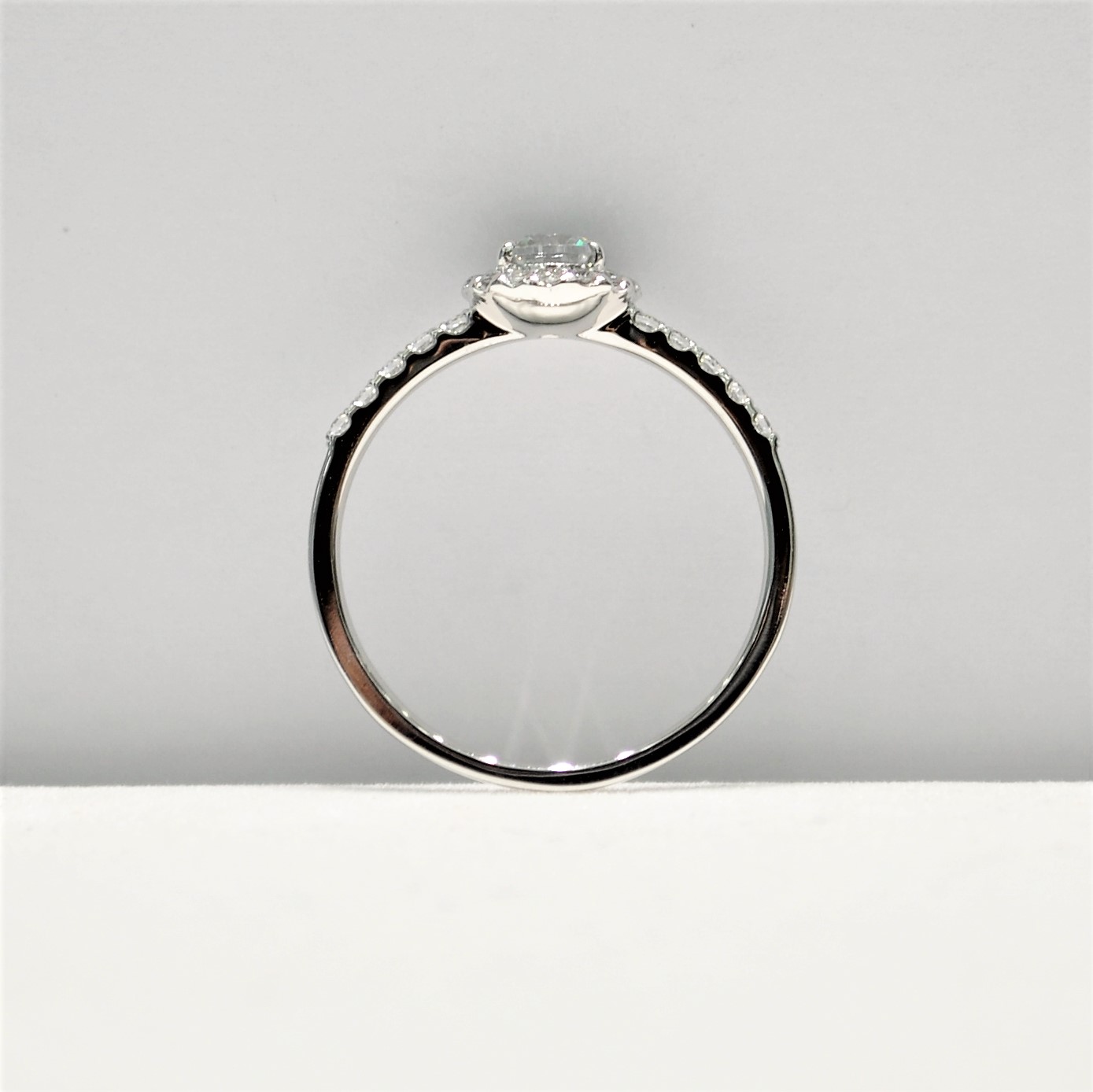 Halo(Side)