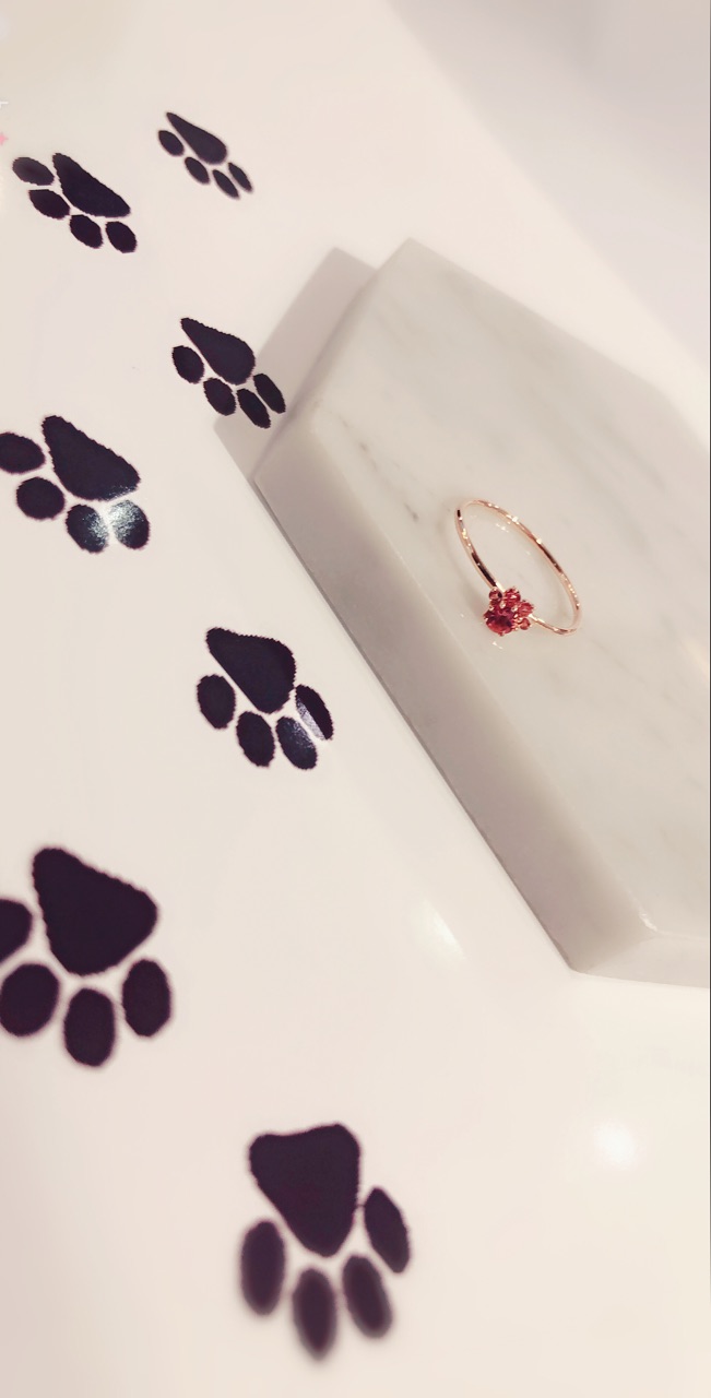 36FBAD39-1E29-4250-8FF2-5C6BAEF01DFD