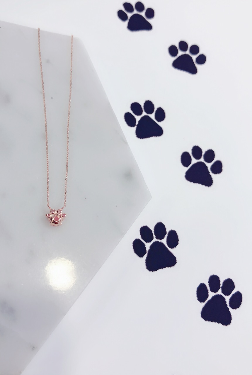 3AD3E7A8-A01F-4C91-804B-D9BE2C4DAA8D