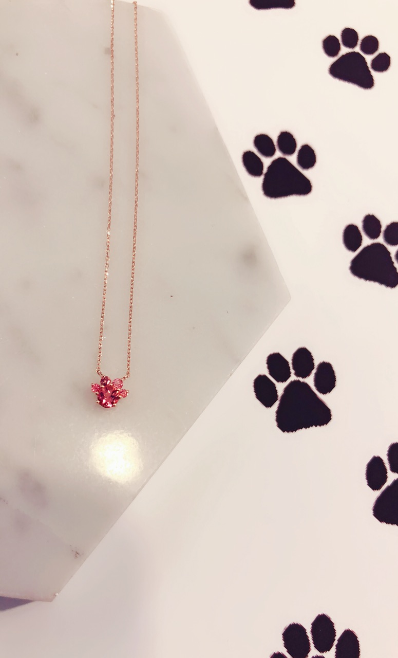 95D8693C-DC77-4D8C-95B1-8DC078751240