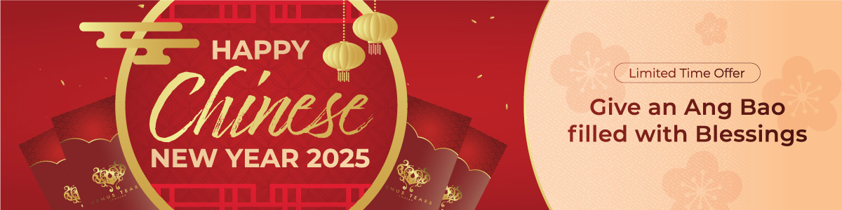 Happy Chinese New Year 2025 – P4