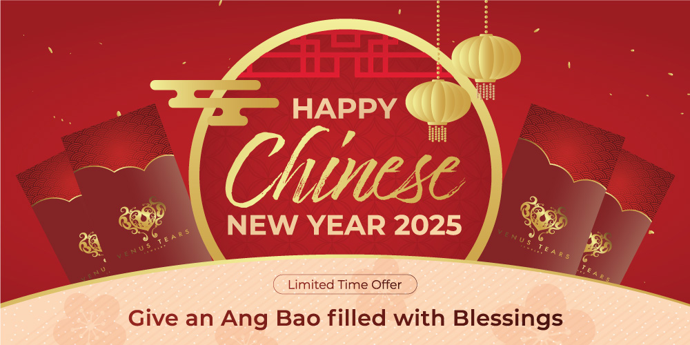 Happy Chinese New Year 2025 – P4